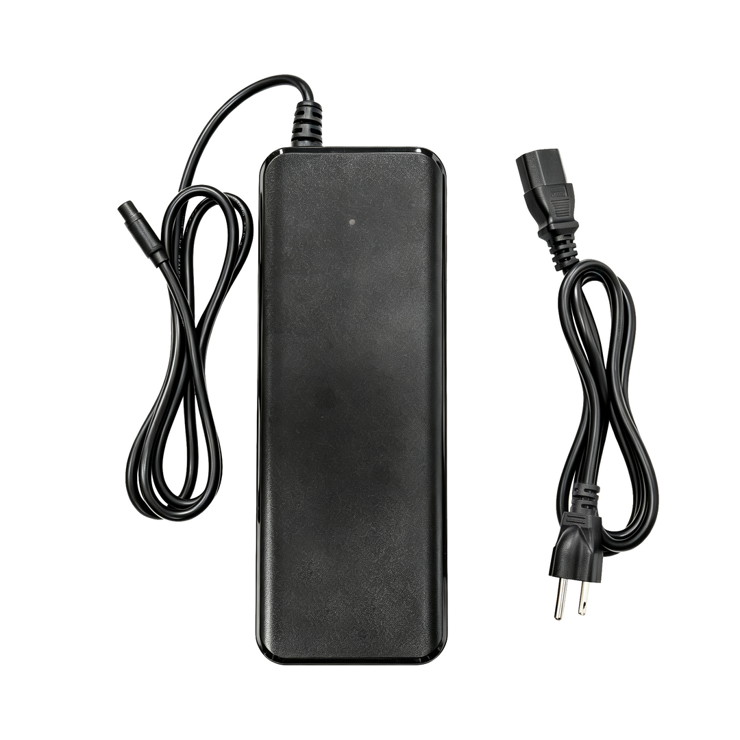 Fast Charger 67.2V 5A 10A Raptor2